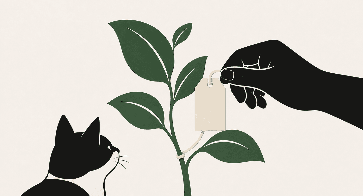 A hand holds a blank nursery tag beside a leafy plant while a cat watches from a short distance.